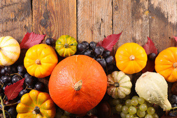 Wall Mural - various pumpkin and grape