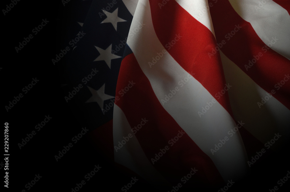 Obraz na płótnie Flag USA background
 w salonie
