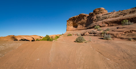 Wall Mural - Delicate Arch in Arches National Park Utah, USA