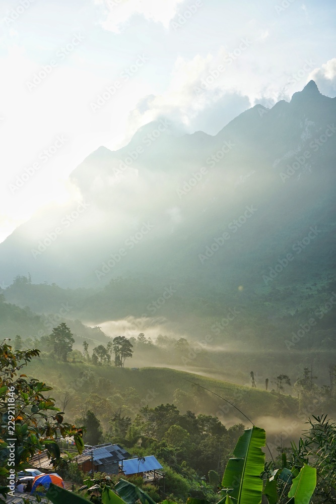 Morning Light with Mountain and Fog - obrazy, fototapety, plakaty 