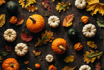 Wall Mural - colourful autumn leaves and pumpkin over old background. autumn background. top view.