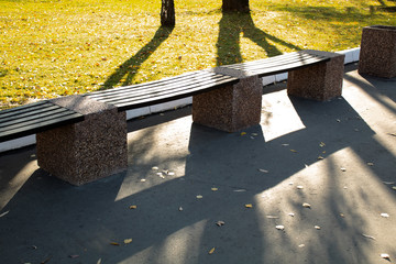 bench in autumn park