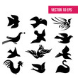 Bird set, dove flying, flat icon, 10 eps vector, icon pack