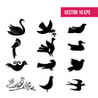 Bird set, dove flying, flat icon, 10 eps vector, icon pack