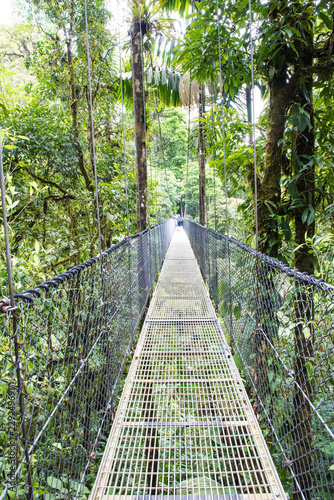 Obrazy most w dżungli  wiszace-mosty