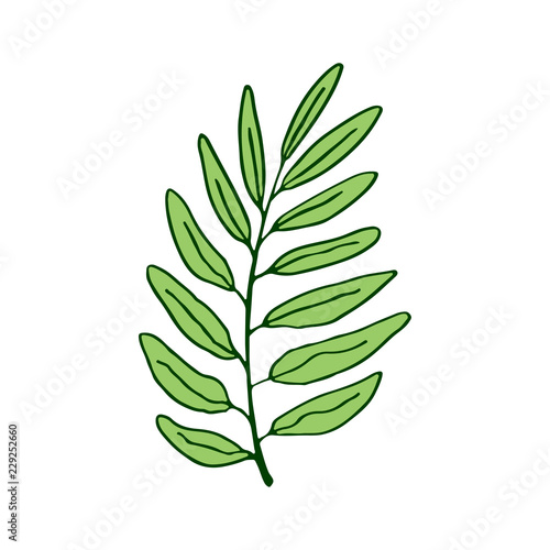 Leaf Vector Illustration Interior Print Design Tropical Palm Leaf Cute Sticker Or Tattoo Art Buy This Stock Vector And Explore Similar Vectors At Adobe Stock Adobe Stock Leaf Vector Illustration Interior Print Design Tropical Palm Leaf Cute Sticker Or Tattoo Art Buy This Stock Vector And Explore Similar Vectors At Adobe Stock Adobe Stock