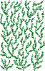 Wall Mural - Doodle leaves on the branches - hand drawn doodle graphic line design element. Vector illustration