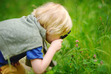 Fototapeta Tulipany - Charming kid exploring nature with magnifying glass. Little boy looking at tree with magnifier.