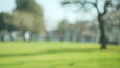 canvas print picture - Out of focus background plate of grass field in beautiful park in suburb