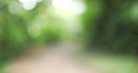 Blurred background plate of hiking trail through lush green vegetation