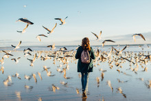 Woman Walking At The Beach Full Of Seagulls At Sunset, Winter, Portugal
