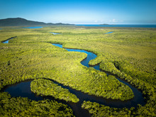Daintree National Park, Queensland. Australia