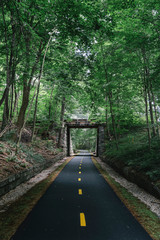 Bike Path Through Dark Woods