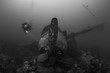 © Song Heming/Stocksy - A female scuba diver exploring wreck of  Japanese fighter plane undersea