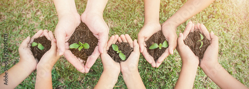 Fotografía Multicultural hands of adult and children holding young plant over green grass background