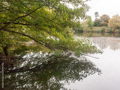 Outside Nature Lake Landscape Autumn Day Water Surface