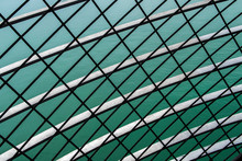 White And Black Net On Green Abstract Background