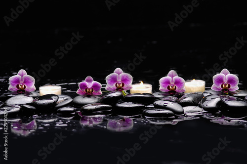 Fotografering still life with pink orchid and white candle on black stones