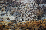 Fototapeta Do akwarium - old gridstone texture