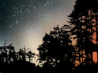 Wall Mural - night starry landscape vector background. universe illustration with silhouette of trees and hill. c