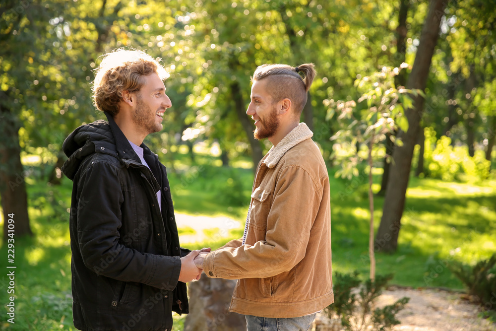 Happy gay couple holding hands in park
