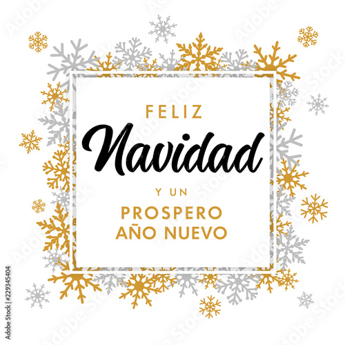 Feliz Navidad Spanish Golden Text Prospero Ano Nuevo Translate