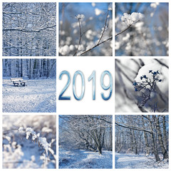 Wall Mural - 2019, snow and winter landscapes square greeting card