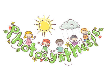 Poster - Doodle Kids Photosynthesis Tomato Illustration