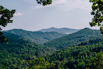 Mountain View Landscape