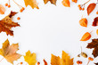 © nerudol - Autumn flat lay background on white