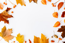 Autumn Flat Lay Background On White