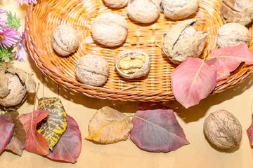 Wall Mural - basket with walnuts and autumn leaves of different colors on a w