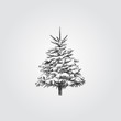 Hand Drawn Christmas tree under the snow Sketch Symbol isolated on white background. Vector of winter elements In Trendy Style