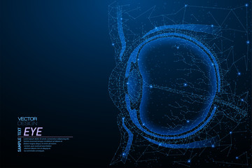 Human eye anatomy