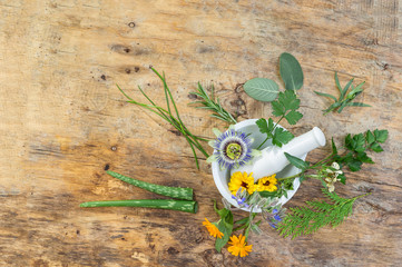 Herb leaf selection of golden thyme, oregano, purple sage, mint and rosemary in flower in a rustic olive wood mortar with pestle, isolated on wooden board background.