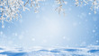 canvas print picture - unterm verschneiten baum, eingerahmter winter hintergrund mit blauem himmel