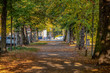 Wundervolle Herbstansicht mit Alleen,Teich ,Brücke und bunt gefärbten Bäumen und Blättern in Leipzig