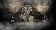 Abstract ancient Egyptian background, Cleopatra. Dark background.