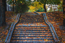 Stone Stairs In The Park Covered With Fallen Yellow Leaves
