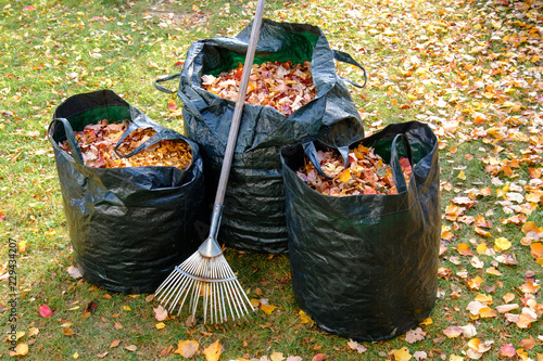 Cuadros en Lienzo Säcke mit Herbstlaub und Rechen