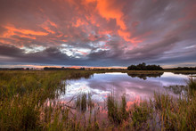 Beautiful Sunset Over Marshland In Natural Landscape