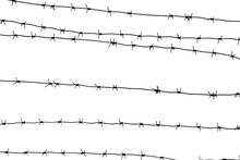 Isolated Barbed Wire On Country Border. Barbwire On Fence For Prohibition Of Illegal Aliens Crossing.