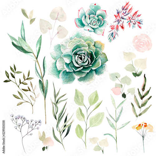 Watercolor set with flowers of succulents and leaves.