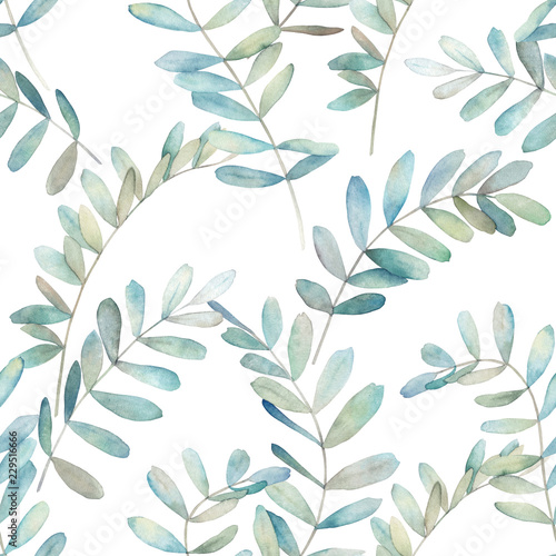 Watercolor seamless pattern with eucalyptus branches . Hand drawn illustration