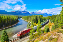 Train Passing Famous Morant's Curve At Bow Valley In Autumn ,Banff National Park, Canadian Rockies,Canada.
