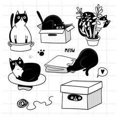 Wall Mural - Cute cat hiding in various objects. Hand drawn vector set. All elements are isolated