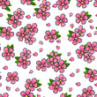 Sakura flowers. Hand drawn colored vector seamless pattern
