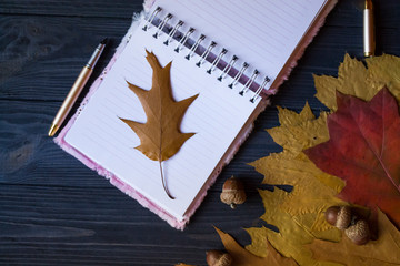 Wall Mural - Opened notebook, pen and dry oak leaves on a blue wooden table.