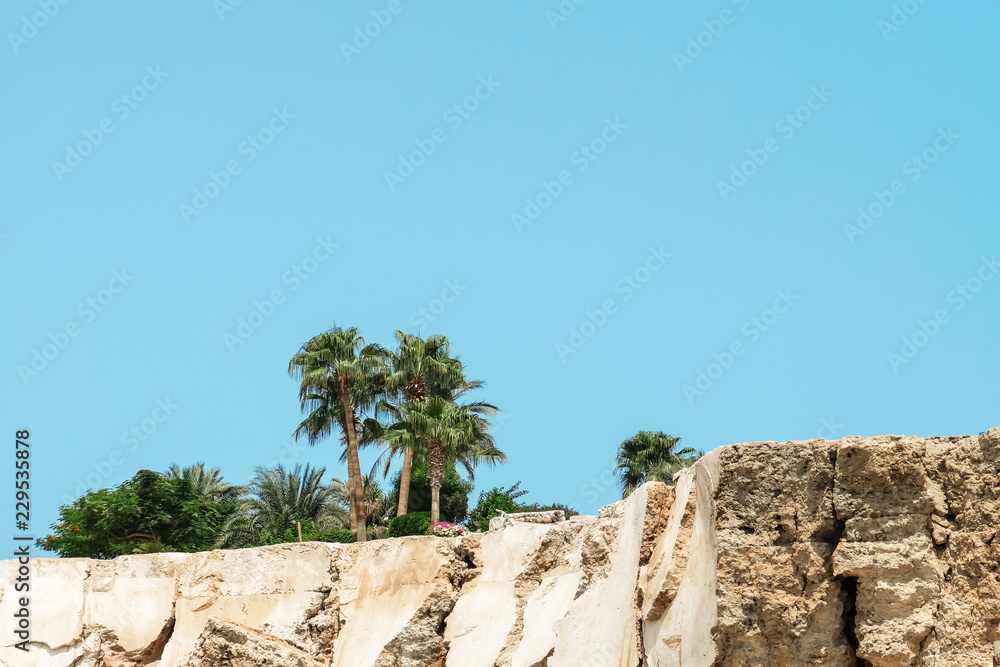Beautiful view of palms and rocks on sunny day