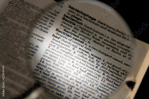 Magnifying Glass On Dictionary Page Showing Definition Of The Word